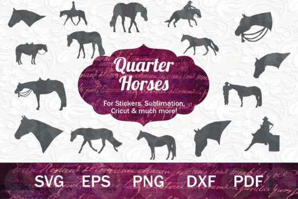 Quarter Horses Embroidery Design Review